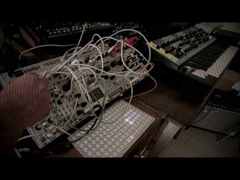 Entanglement: Teletype → i2c2midi → Matriarch