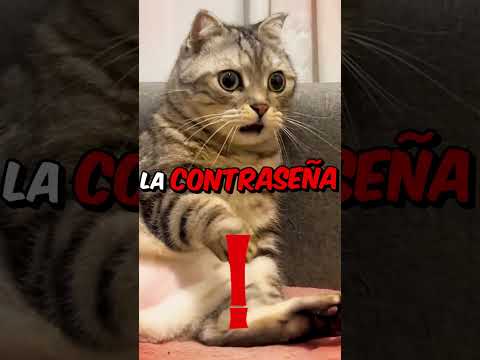 La contraseña del Atalanta es 1,2,3,4