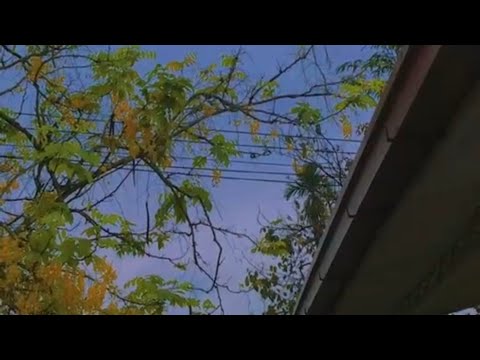 Flavour - Time to Party (slowed and reverb)