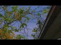 Flavour Time To Party Slowed And Reverb