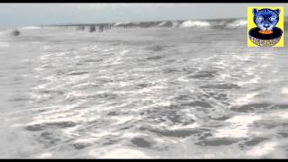 GRUPO FUSIONOVA - WOMAN DEL CALLAO ( Cover )