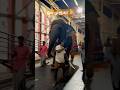 Tiruchendur Deivanai Tiruchendur Tiruchendurmurugan Devotional Murugan Deivanai