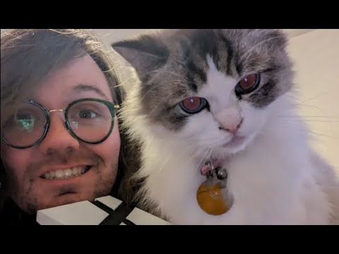 The Life of Rose - Michael Kovach and Ashley Nichols' Beloved Cat