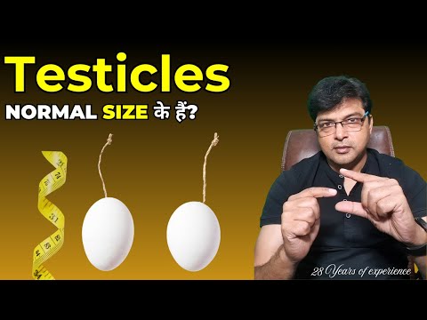 What should be the normal size of testis? Can one become a father with one testicle?