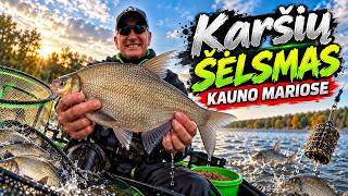 Karšių Šėlsmas Kauno Mariose