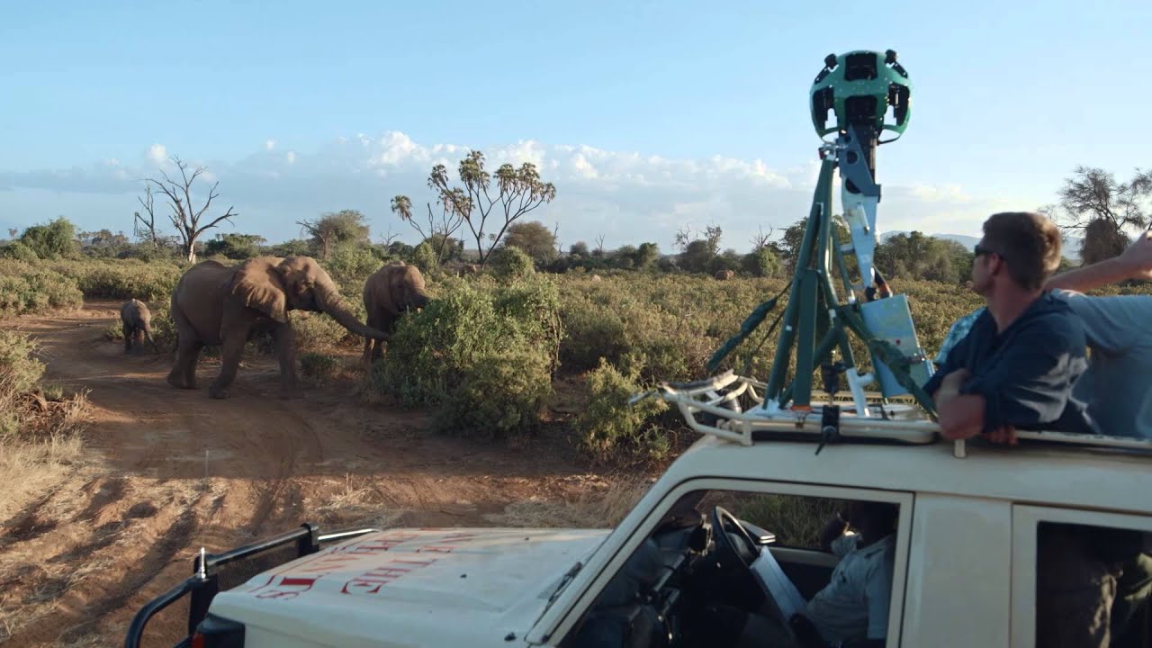 Google & Save the Elephants partner to raise awareness about African elephants