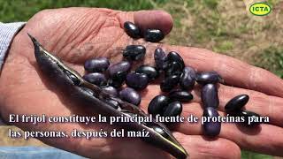 Miniatura: Buenas prácticas agrícolas - jornada de capacitación