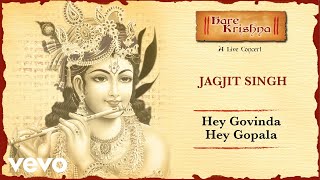 Hey Govinda Hey Gopala - Live Concert | Jagjit Singh Bhajans