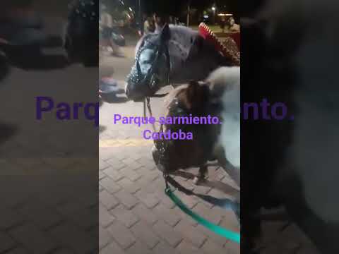 parque Sarmiento  . cordoba