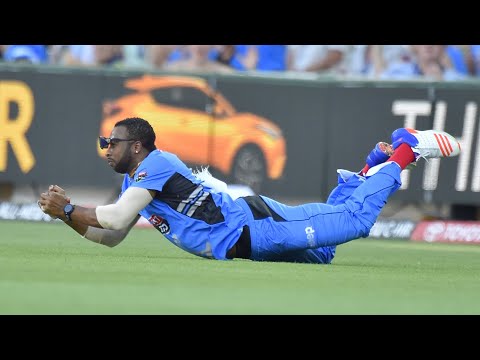 The best of Kieron Pollard in the field