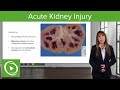 Acute Kidney Injury AKI Staging And Etiology Nephrology Lecturio