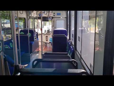 Forest Coach Lines (CDC Group) m/o 6925 - MAN 19.320 (ZF EcoLife Kickdown)