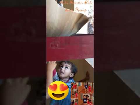 Billu 😻playing with Shrihan and Shiven 👬