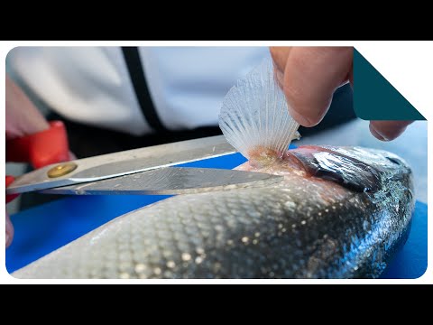 Schoonmaken van een zeebaars | Keukentechniek