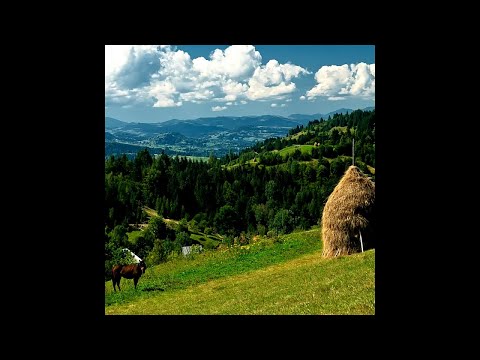 Aardal - Din Carpati