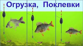 Как отрегулировать поплавок при ловле карася