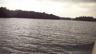 走在新加坡（River Safari）