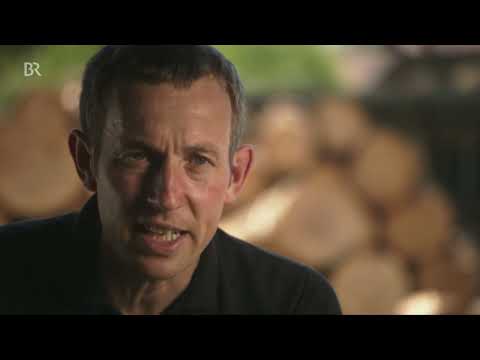 Unter unserem Himmel: Wälder in Bayern · Faszination eines Lebensraums (2024)