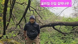 고령 굴피집 어르신 산길은 자난겨울 눈폭탄 엎어진 나무천지 하나씩 치우면서 간다 ᆢ