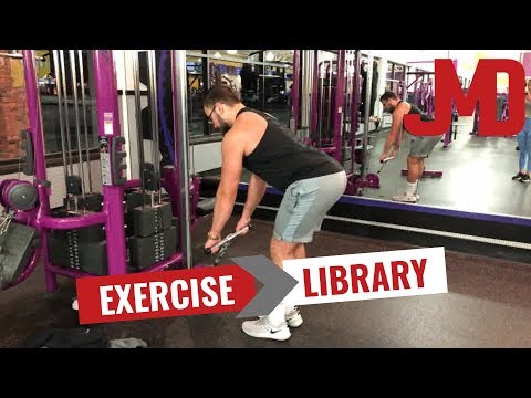 Cable Stiff Leg Deadlift | Exercise Library | Hamstrings