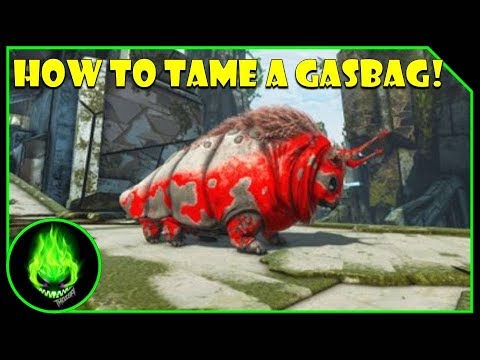 ARK PS4: HOW TO TAME A GASBAG WITHOUT A TAMING PEN!