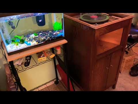 It’s Been A Long Long Time by Harry James on a phonograph