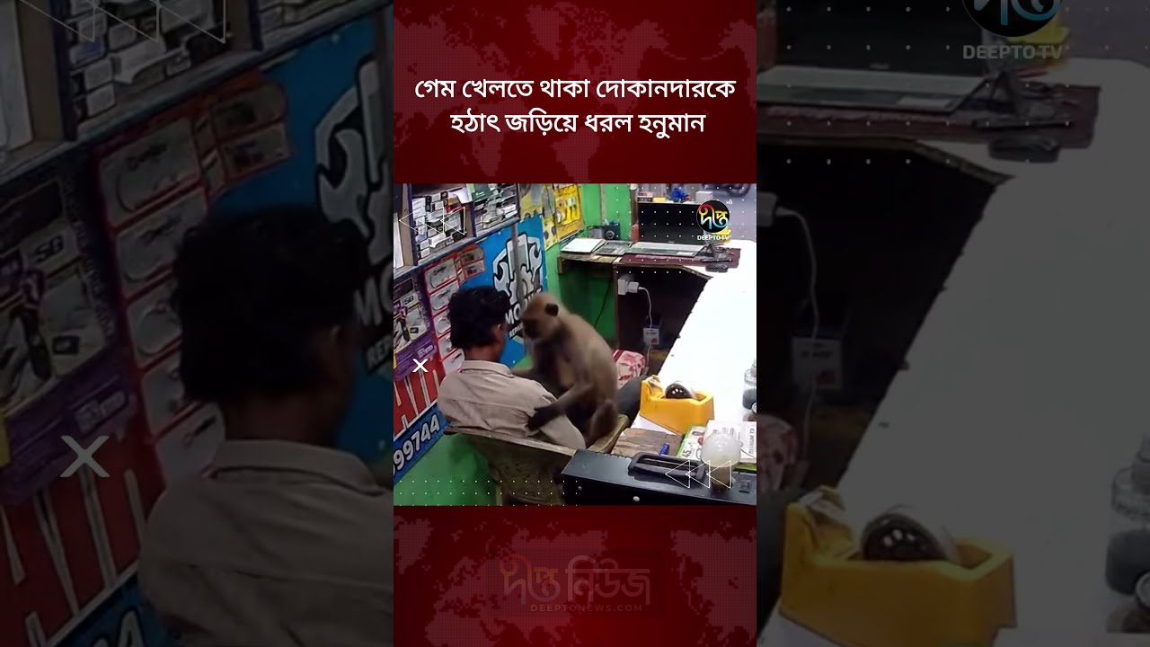 গেম খেলতে থাকা দোকানদারকে হঠাৎ জড়িয়ে ধরল হনুমান | Monkey Suddenly Hugs Shopkeeper | Deepto News