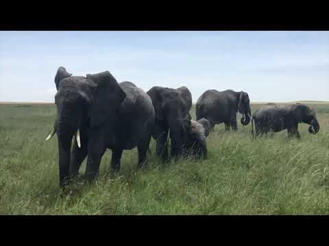 BINTY FAHMY TV   ENJOY WITH US BY WATCHING THIS TOUR  CLIP. 2019