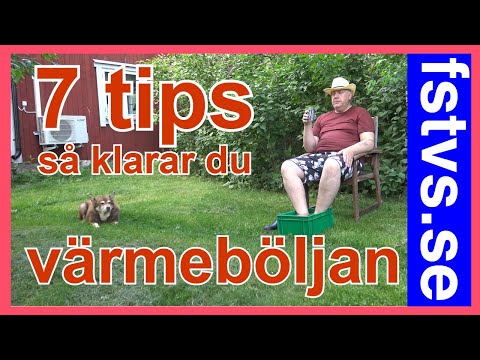 7 tips – så hanterar du värmeböljan
