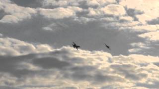 preview picture of video 'Rehearsal Heritage Flight F-16AM + Spitfire @ Florennes Air Show Arrivals Spottersday 22-06-2012'