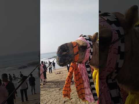 Sea beach ⛱️ Masti