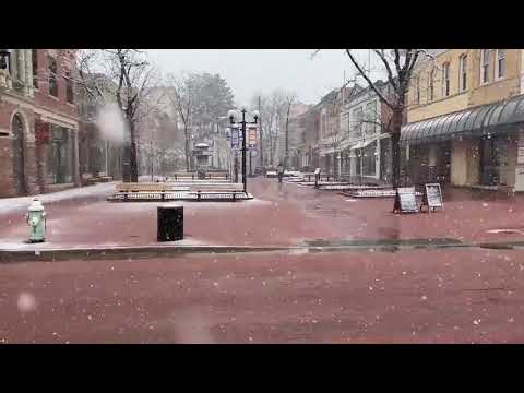 Fresh Views Of Snowfall In Boulder , CO | USA | March 2021