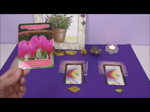 Wochenorakel für Liebe, Beruf und Finanzen vom 15. bis 21. Oktober 2018