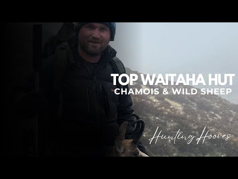 La caccia al Tahr si trasforma in pre-esca da 9 pollici per camosci, pecore selvatiche e DOC nel ...