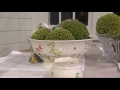 Belleek Floral Springtime 10 Bowl On QVC