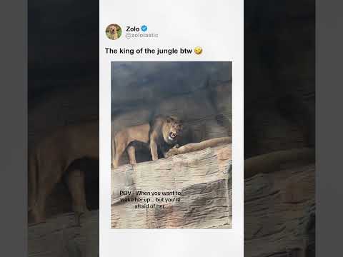 The king of the jungle btw 🤣
