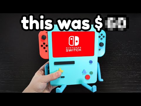 I bought the weirdest nintendo switch accessories