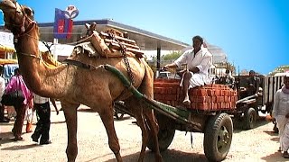 preview picture of video 'Indien - Straßenverkehr - Delhi - Jaipur - Bikaner - Jaisalmer - Udaipur - Mumbai'