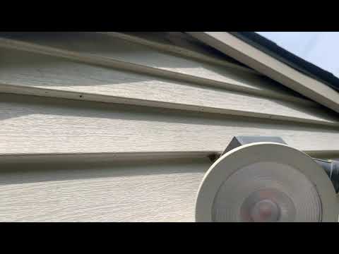 Signs of a Carpenter Bee Infestation in Holmdel, NJ