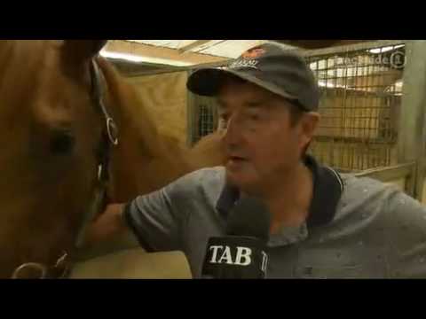 2017 NZ Derby preview: Gingernuts