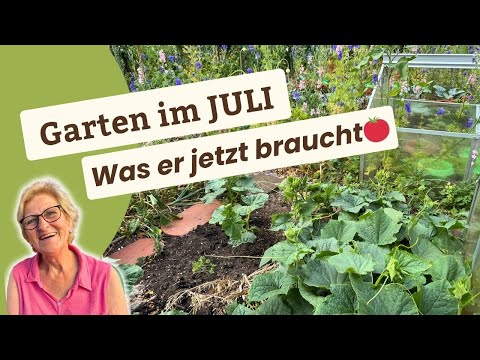 Gardening in July – What is important now
