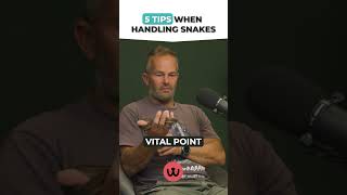 5 Tips for the SAFE Handling of Snakes!