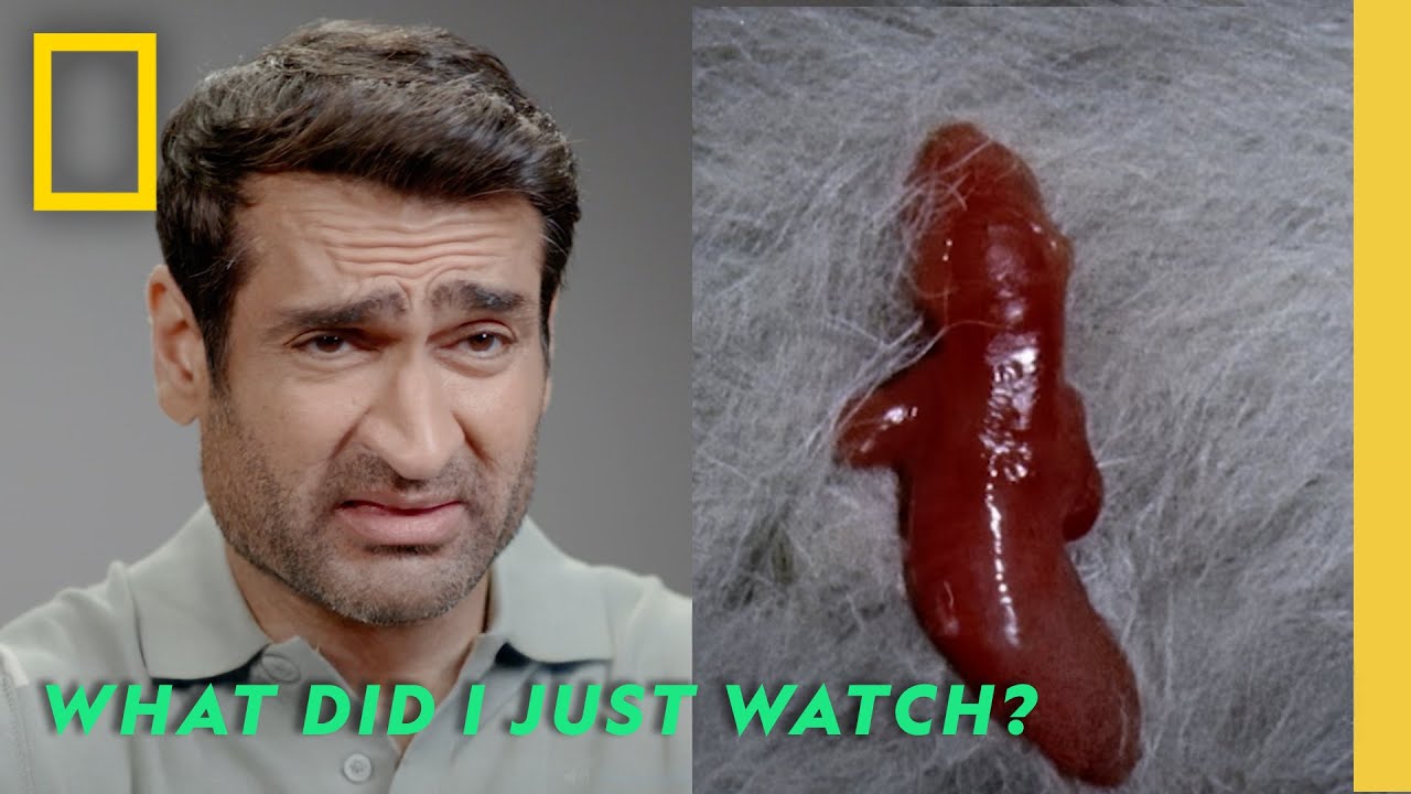 What Did I Just Watch? with Kumail Nanjiani | Hularious | National Geographic