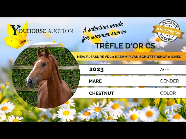 Tréfle D’or CS