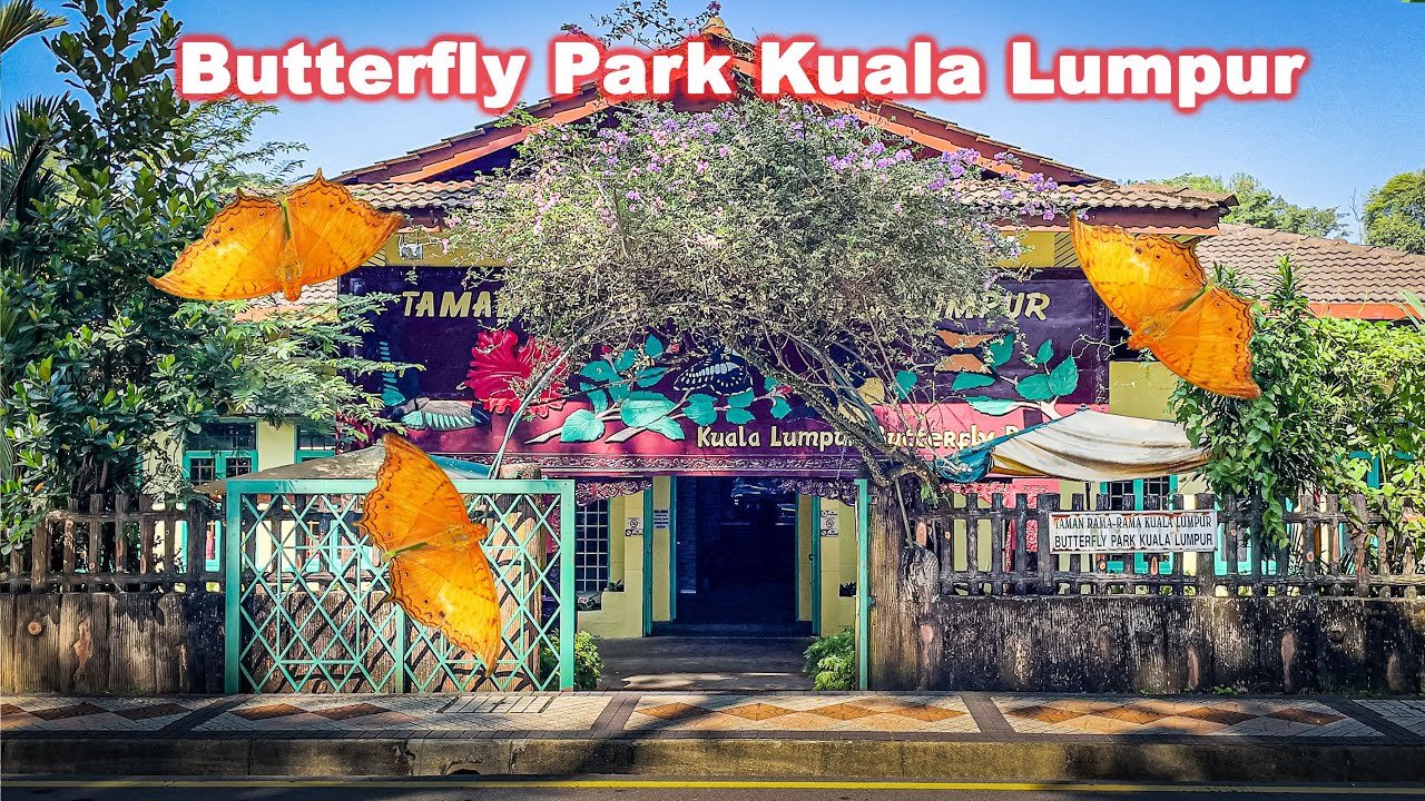 Experience the enchanting visuals of Kuala Lumpur's Butterfly Park.