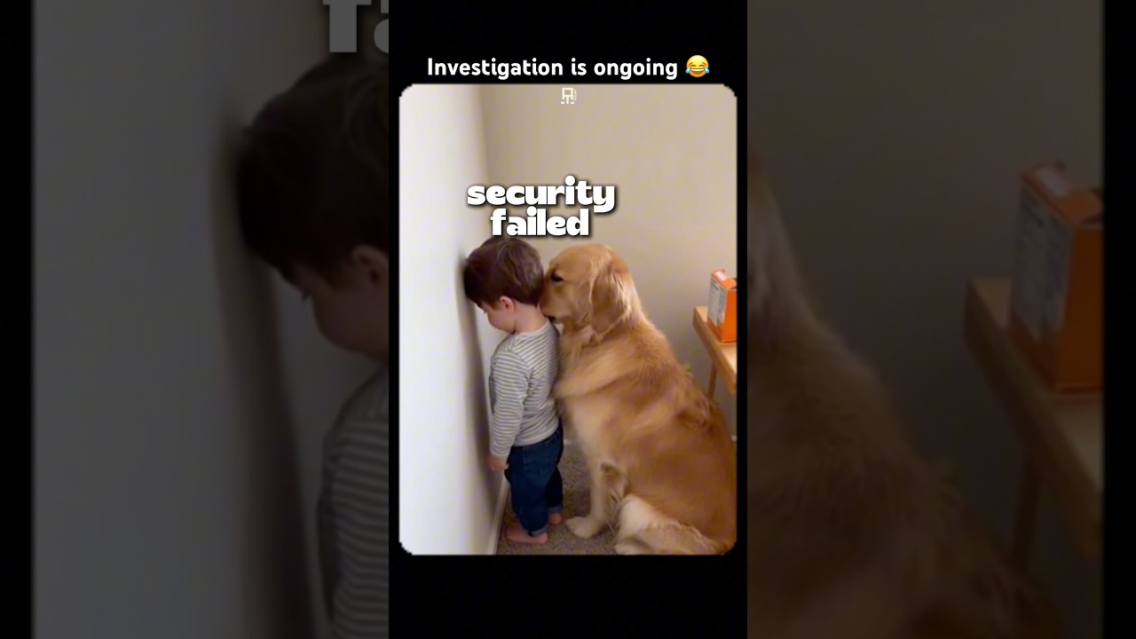 Video scZM2SBNNws