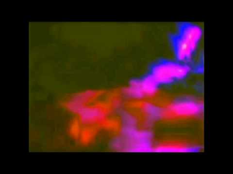 Eden harem - gímaldin