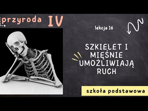 Przyroda klasa 4 [Lekcja 16 - Szkielet i mięśnie umożliwiają ruch]
