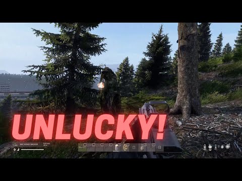 DayZ - Dude caught a lag spike