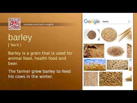 Barley : C1 level english vocabulary lesson, www.LipLix.com